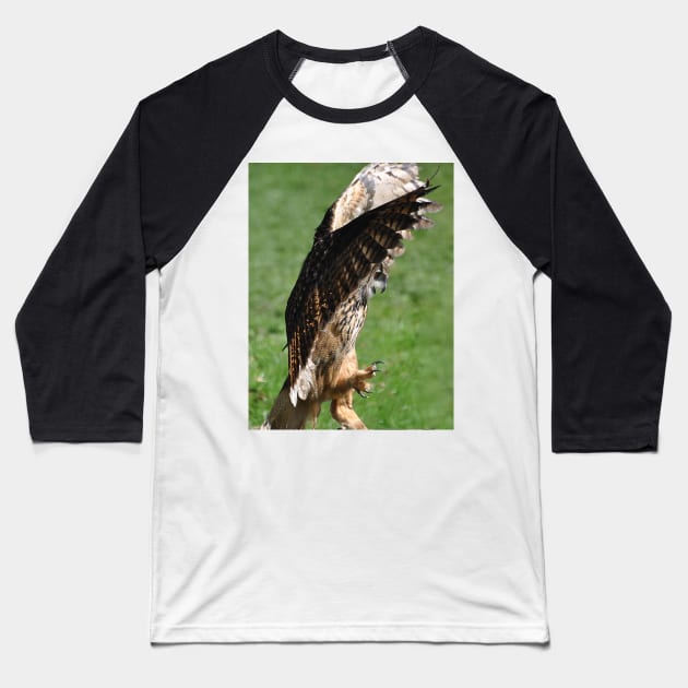 European eagle owl Baseball T-Shirt by declancarr